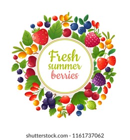 Fresh organic summer berries and fruits. Healthy food vegan cafe menu vector design. Strawberry fresh, blackberry and berry illustration