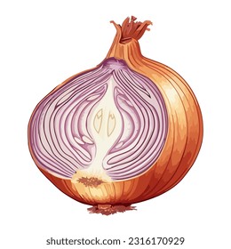 Fresh organic vegetable half onion icon isolated