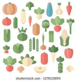 Fresh organic vegetable isolated on white background. Flat design.