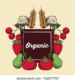 Fresh Organic vegetables