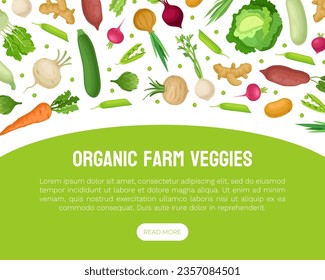 Fresh Organic Vegetables Banner Design Vector Template