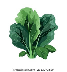 Fresh organic vegetables leaf icon isolated