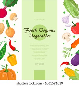 Fresh organic vegetables - modern colorful vector illustration with place for your text. High quality poster with a pumpkin, pepper, corn, garlic, beet, peas, carrot, eggplant, onion, potato, tomato