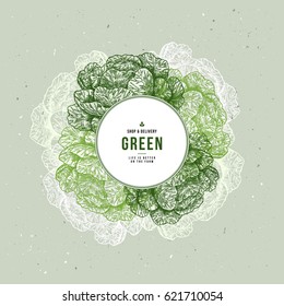 Fresh organic vegetables vintage engraved design template. Botanical cabbage illustration. Vector illustration