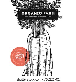 Fresh organic vegetables vintage engraved design template. Botanical carrot illustration. Vector illustration