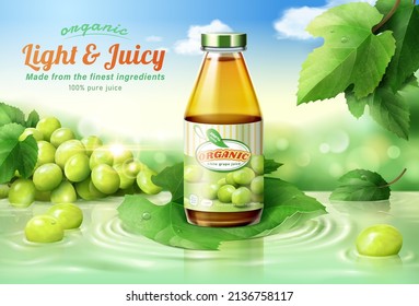 Fresh and organic white juice ad template. 3d glass bottle displayed on a green vine leaf that floats above water surface.