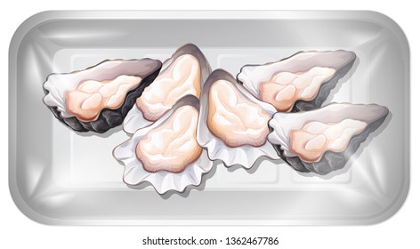 Fresh oyster in container illustration