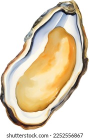 Fresh Oyster Detailed Hand Drawn Illustration Vector Isolated