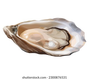 Fresh oyster illustration design over white