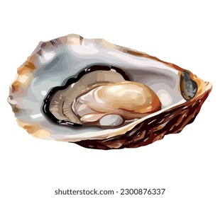 Fresh oyster illustration over white