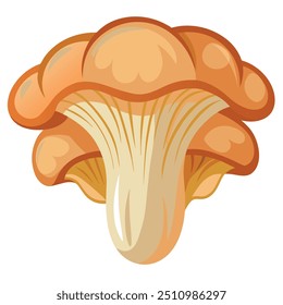 Fresh Oyster mushroom Art, Vector, Icon and Graphic, Flat Vegetables Illustration Design On White Background