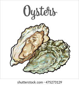 Fresh oyster, sketch style vector illustration isolated on white background. Drawing of oysters as luxury seafood delicacy. Edible underwater creature, healthy organic seafood or shellfish food