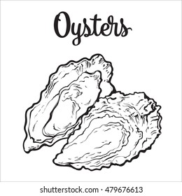 Fresh oyster, sketch style vector illustration isolated on white background. Drawing of oysters as luxury seafood delicacy. Edible underwater creature, healthy organic seafood or shellfish food