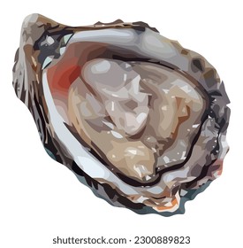 Fresh oyster vector design over white