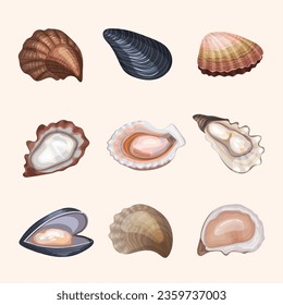 Fresh oysters. Delicious exotic marine products shells recent vector oysters food illustrations