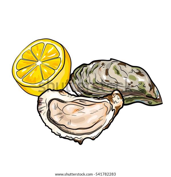 白い背景に新鮮なカキとレモンベクターイラスト 手描きのスケッチスタイルイラスト 高級食品 前菜 のベクター画像素材 ロイヤリティフリー 541782283
