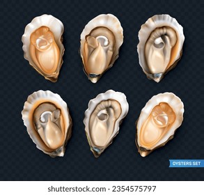 Fresh oysters realistic set isolated against transparent background vector illustration