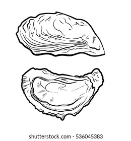 Fresh oysters vector set. Black and white graphic design. Sea food. Vector illustration. Hand drew oyster isolated on white background