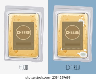 Fresh packaged cheese. Expired packaged cheese, moldy cheese. How to identify expired food. Comparison of fresh and expired cheese. Vector illustration. 