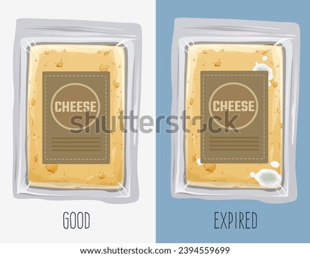 Fresh packaged cheese. Expired packaged cheese, moldy cheese. How to identify expired food. Comparison of fresh and expired cheese. Vector illustration. 