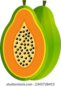 fresh papaya fruit single vector illustration