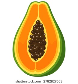Fresh Papaya Half Illustration Featuring Tropical Fruit Summer Vacation Nutrition Vector