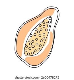 Fresh papaya slice showing bright orange flesh and seeds for healthy snack options