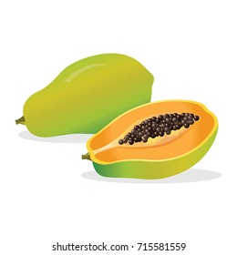 Fresh papaya. Vector illustration.