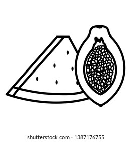 fresh papaya and watermelon fruits