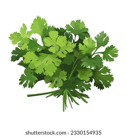 Fresh parsley healthy flavor to meals icon isolated