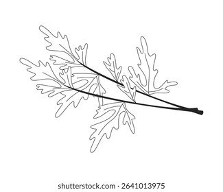 Fresh parsley herb leaves with stems 2D line object. Cilantro culinary leafy sprig. Garnish plant. Herbal vegetable coriander isolated clipart vector ink outline item. Monochrome spot illustration