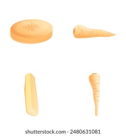 Fresh parsnip icons set cartoon vector. Whole and sliced parsnip root. Farm vegetable