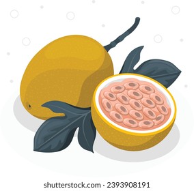 fresh passion fruit illustration vector