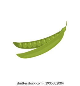 La guisante fresca con fondo blanco. Ilustración del vector