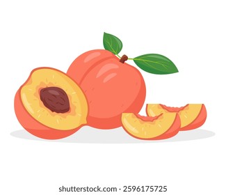 Fresh peach fruit, half and pieces. Whole and peaches parts Organic fruit healthy food. Vector icon illustration isolated on white background.