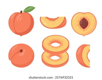 Fresh peach fruit icons different sides. Whole and cut peaches with pits, pieces and slices. Organic fruits for juice, smoothie or healthy food. Vector illustration isolated on white background.