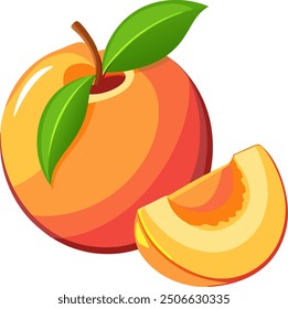 Fresh Peach fruit and Peach slice on white background. Vector illustration flat cartoon