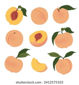 Fresh Peach fruits set. Vitamin Fruit. Vector illustration, isolated on a white background