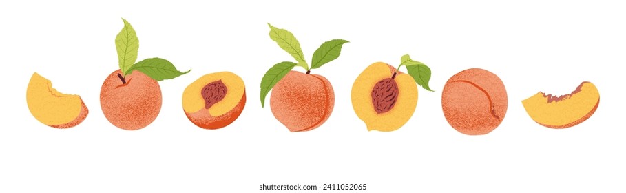 Frutas frescas de cada durazno y rodajas de melocotón. Vitamina Fruta. Ilustración vectorial, aislada en fondo blanco