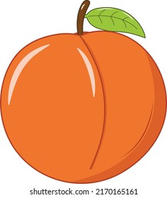 Fresh Peach with Green Leaf Vector Illustration