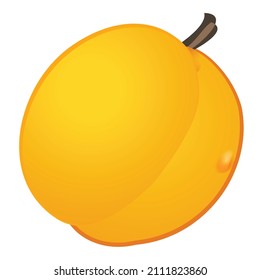 Fresh peach icon cartoon vector. Apricot fruit. Jam nectarine