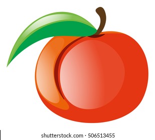 Fresh peach on white background illustration