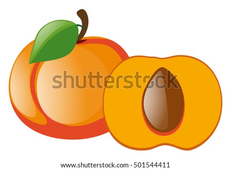 Similar – Image, Stock Photo Fresh peaches and apricots in wooden box