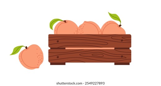 Fresh peaches in a rustic wooden crate with one peach beside it on a white background