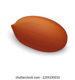 Fresh peanut icon. Realistic illustration of fresh peanut vector icon for web design