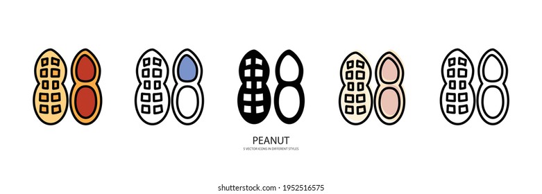 fresh PEANUT vector type icon
