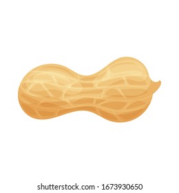 Fresh peanuts closeup. Colorful simple flat cartoon style. Isolated vector illustration.