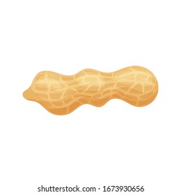 Fresh peanuts closeup. Colorful simple flat cartoon style. Isolated vector illustration.