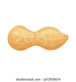 Fresh peanuts closeup. Colorful simple flat cartoon style. Isolated vector illustration.