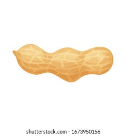 Fresh peanuts closeup. Colorful simple flat cartoon style. Isolated vector illustration.